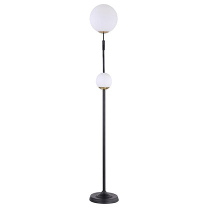 Dacki - Dual Spherical Bulb Metal Floor Lamp - Black