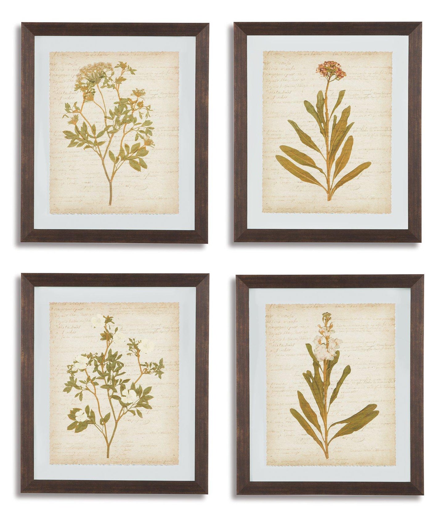 Dyani Wall Art (Set of 4) image